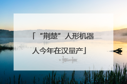 “荆楚”人形机器人今年在汉量产
