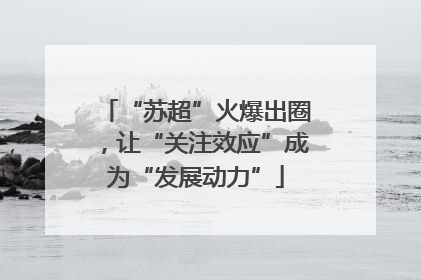 “苏超”火爆出圈，让“关注效应”成为“发展动力”