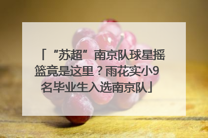 “苏超”南京队球星摇篮竟是这里？雨花实小9名毕业生入选南京队