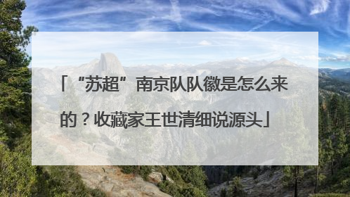 “苏超”南京队队徽是怎么来的？收藏家王世清细说源头