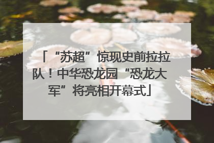 “苏超”惊现史前拉拉队！中华恐龙园“恐龙大军”将亮相开幕式