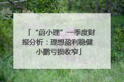 “蔚小理”一季度财报分析：理想盈利稳健 小鹏亏损收窄