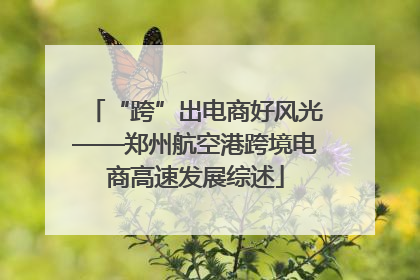 “跨”出电商好风光——郑州航空港跨境电商高速发展综述