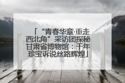 “青春华章·重走西北角”采访团探秘甘肃省博物馆：千年珍宝诉说丝路辉煌