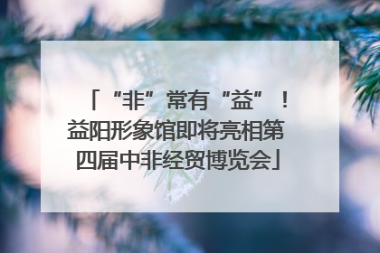 “非”常有“益”！益阳形象馆即将亮相第四届中非经贸博览会