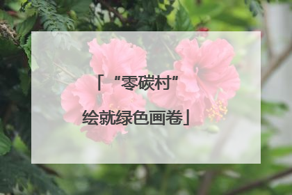 “零碳村” 绘就绿色画卷