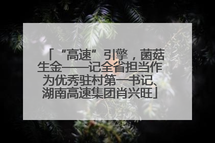 “高速”引擎，菌菇生金——记全省担当作为优秀驻村第一书记、湖南高速集团肖兴旺