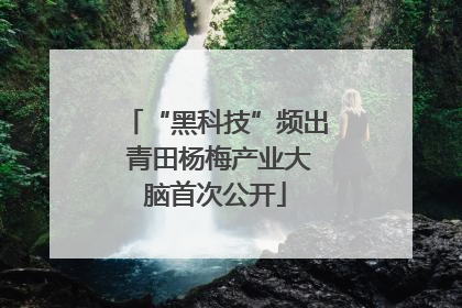 “黑科技”频出 青田杨梅产业大脑首次公开