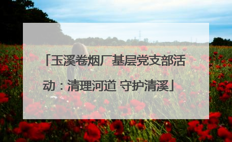 玉溪卷烟厂基层党支部活动：清理河道 守护清溪