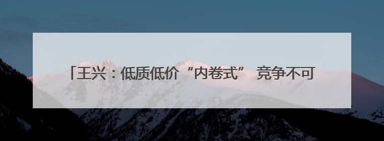 王兴：低质低价“内卷式” 竞争不可持续，美团将继续推动行业健康发展