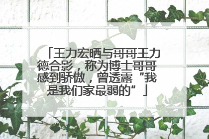 王力宏晒与哥哥王力德合影，称为博士哥哥感到骄傲，曾透露“我是我们家最弱的”