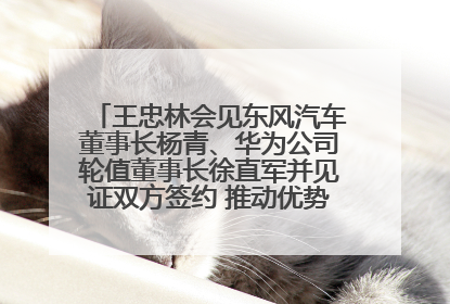 王忠林会见东风汽车董事长杨青、华为公司轮值董事长徐直军并见证双方签约 推动优势互补 实现共赢发展