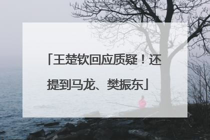 王楚钦回应质疑！还提到马龙、樊振东