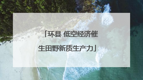 环县 低空经济催生田野新质生产力