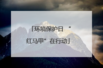 环境保护日 “红马甲”在行动