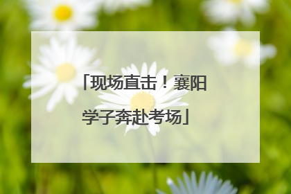 现场直击！襄阳学子奔赴考场