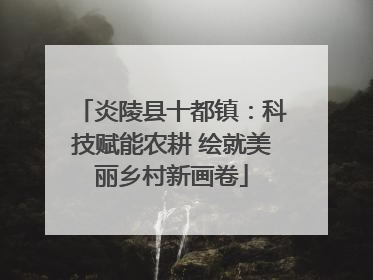 炎陵县十都镇：科技赋能农耕 绘就美丽乡村新画卷