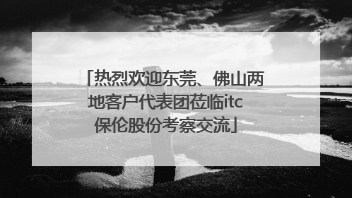 热烈欢迎东莞、佛山两地客户代表团莅临itc保伦股份考察交流