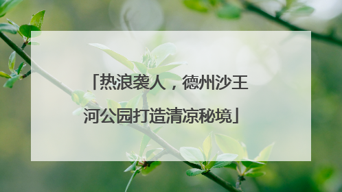 热浪袭人，德州沙王河公园打造清凉秘境