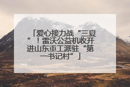 爱心接力战“三夏”！雷沃公益机收开进山东重工派驻“第一书记村”