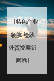 特色产业领航 绘就外贸发展新画卷