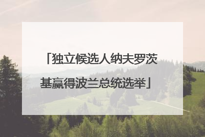 独立候选人纳夫罗茨基赢得波兰总统选举