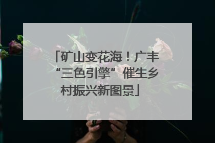 矿山变花海！广丰“三色引擎”催生乡村振兴新图景