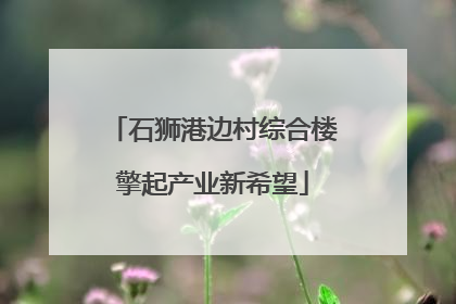 石狮港边村综合楼擎起产业新希望