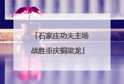 石家庄功夫主场战胜重庆铜梁龙