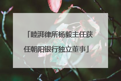 睦湃律所杨毅主任获任朝阳银行独立董事