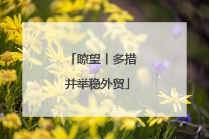 瞭望丨多措并举稳外贸