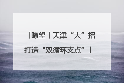 瞭望丨天津“大”招打造“双循环支点”