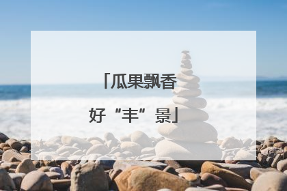 瓜果飘香 好“丰”景