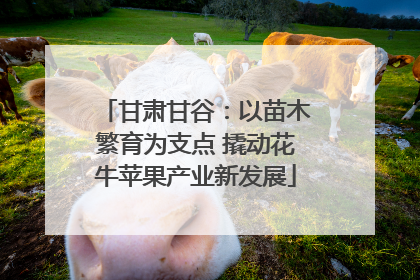 甘肃甘谷：以苗木繁育为支点 撬动花牛苹果产业新发展