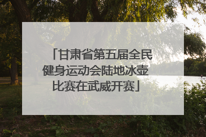 甘肃省第五届全民健身运动会陆地冰壶比赛在武威开赛