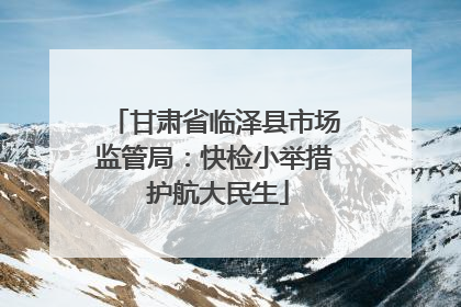 甘肃省临泽县市场监管局：快检小举措 护航大民生