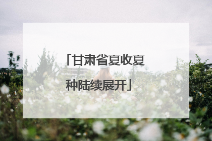 甘肃省夏收夏种陆续展开