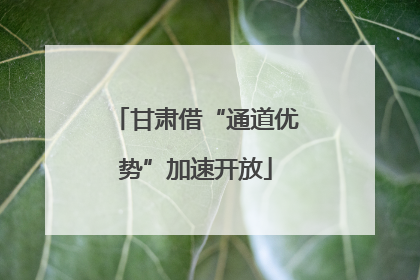 甘肃借“通道优势”加速开放