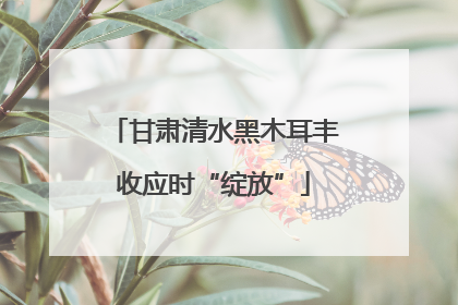 甘肃清水黑木耳丰收应时“绽放”