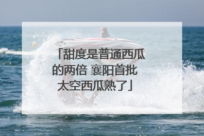 甜度是普通西瓜的两倍 襄阳首批太空西瓜熟了