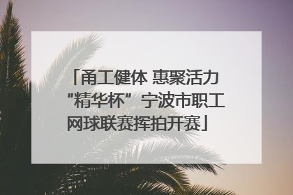 甬工健体 惠聚活力“精华杯”宁波市职工网球联赛挥拍开赛