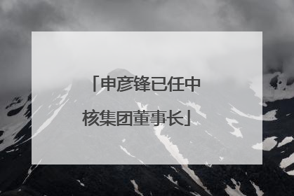 申彦锋已任中核集团董事长