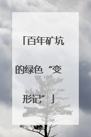 百年矿坑的绿色“变形记”