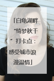 白龟湖畔“绮梦秋千”打卡点：感受城市浪漫温情
