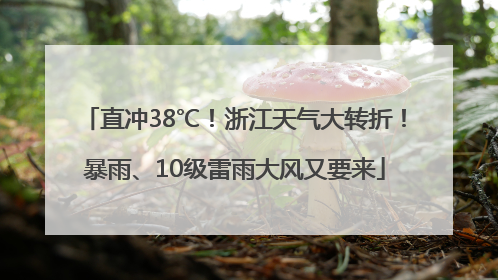 直冲38℃！浙江天气大转折！暴雨、10级雷雨大风又要来
