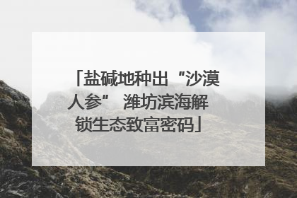 盐碱地种出“沙漠人参” 潍坊滨海解锁生态致富密码