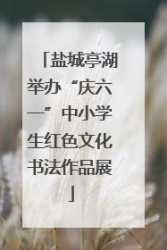 盐城亭湖举办“庆六一”中小学生红色文化书法作品展