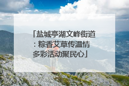 盐城亭湖文峰街道：粽香艾草传温情 多彩活动聚民心