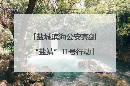 盐城滨海公安亮剑“盐靖”Ⅱ号行动