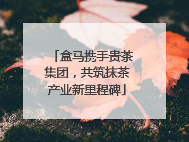 盒马携手贵茶集团，共筑抹茶产业新里程碑